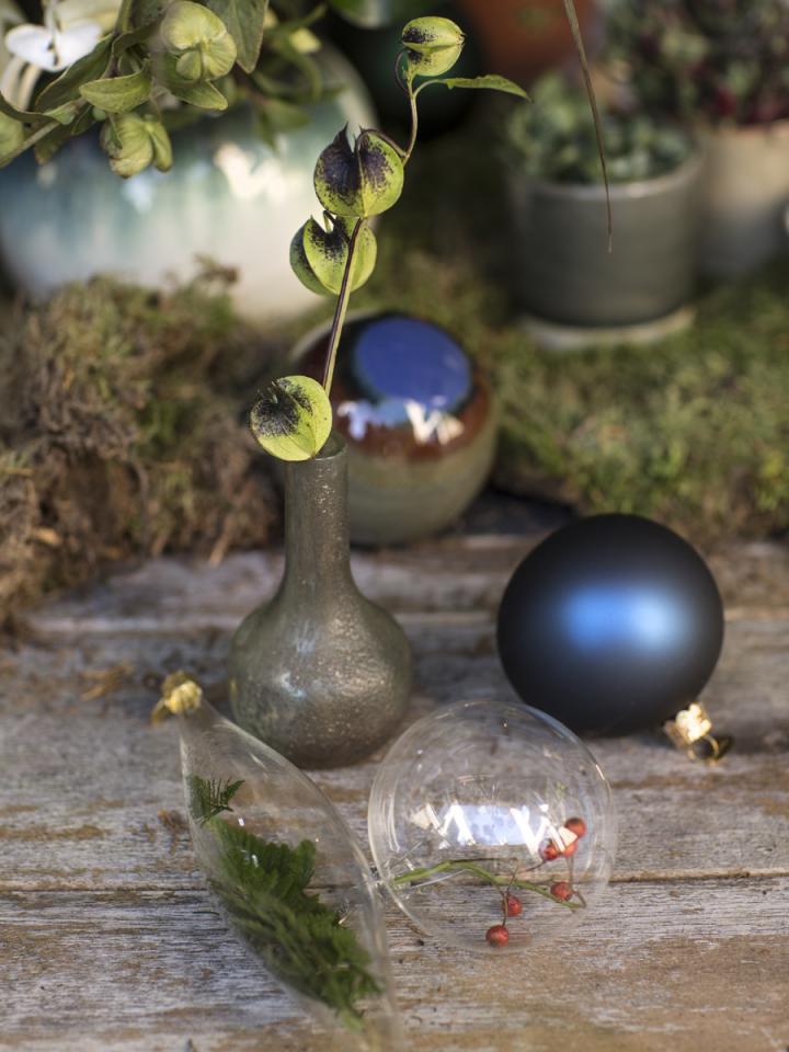 DIY: Takjes in glazen kerstballen - Mooiwatplantendoen.nl