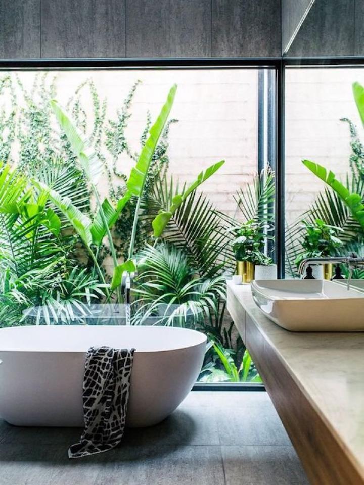 Green Salle de bain plante maplantemonbonheur.fr 