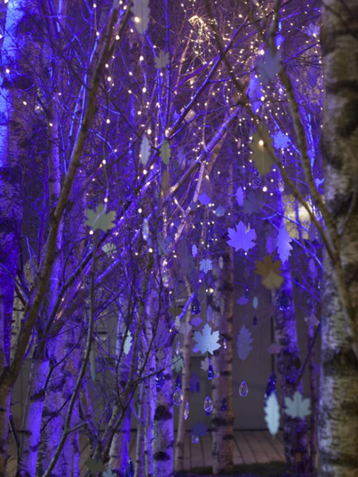 Heure Bleue Tendance Expo maplantemonbonheur.fr plantes forêt cité de la mode et du design