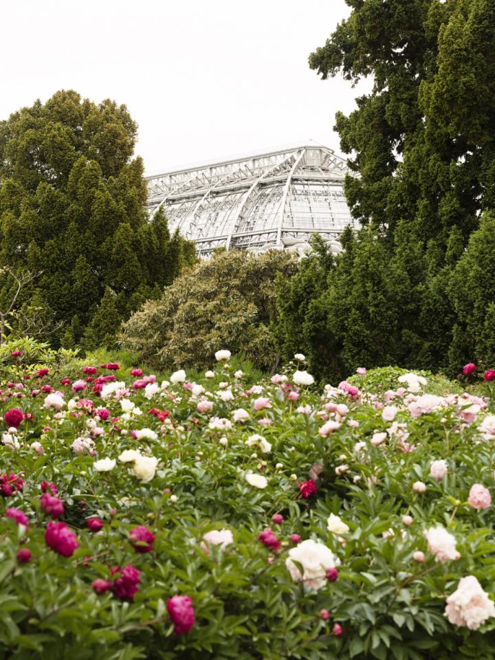 Der Botanische Garten in Berlin - Pflanzenfreude.de