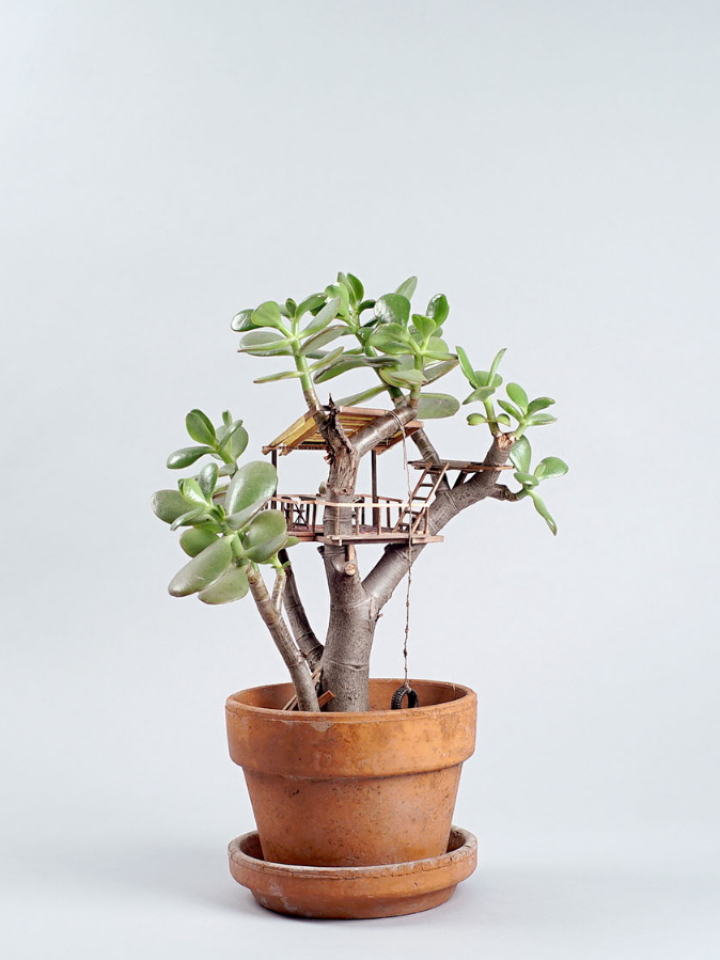 Jedediah C. Voltz builds tiny treehouses for houseplants thejoyofplants