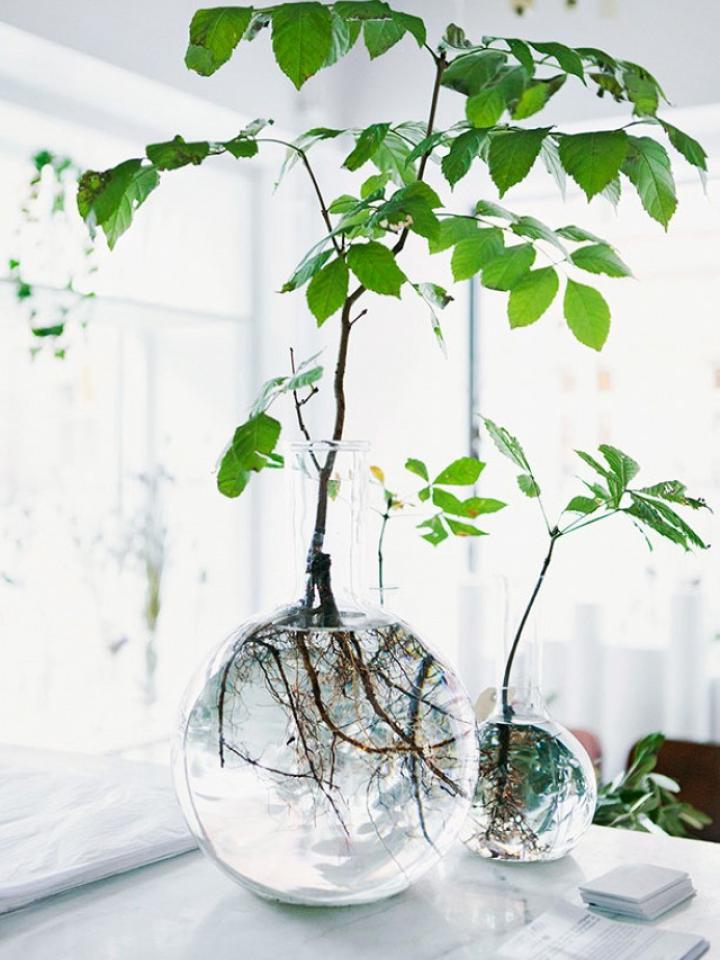 Pot de fleur transparent pour plantes d'intérieur et d'extérieur