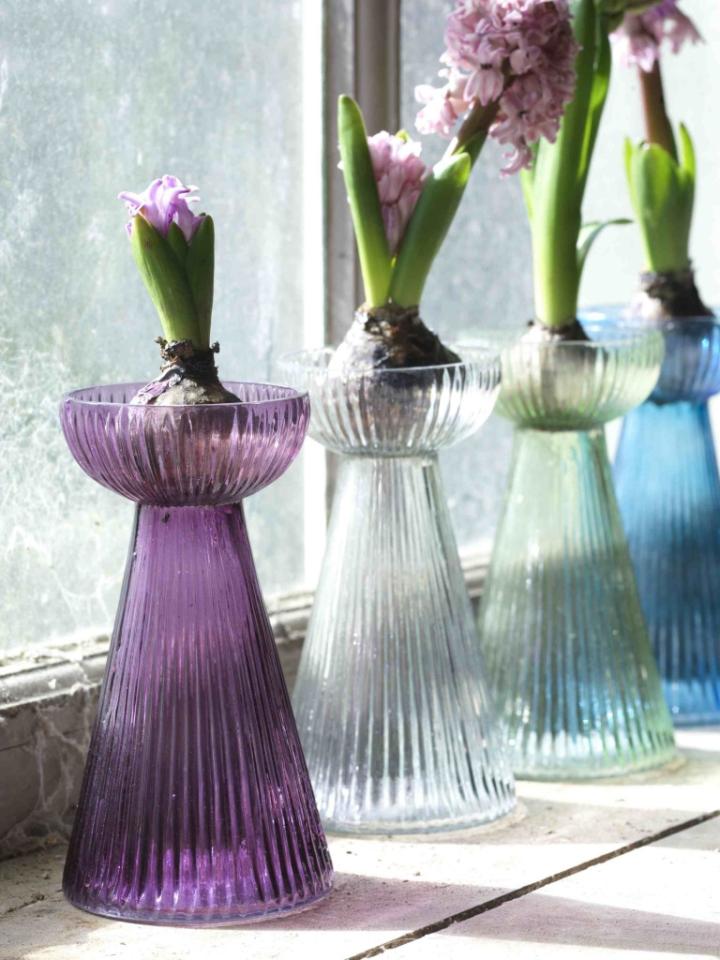 Maplantemonbonheur.fr luxe plante deco bulbe 