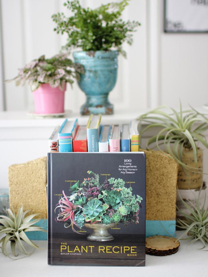 Maplantemonbonheur.fr Des plantes et des pots