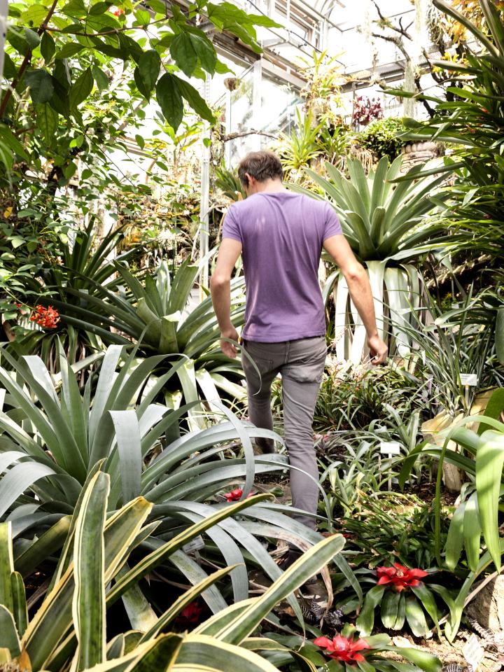 Hortus aan huis: net als de hortus botanicus in Berlijn Mooiwatplantendoen.nl