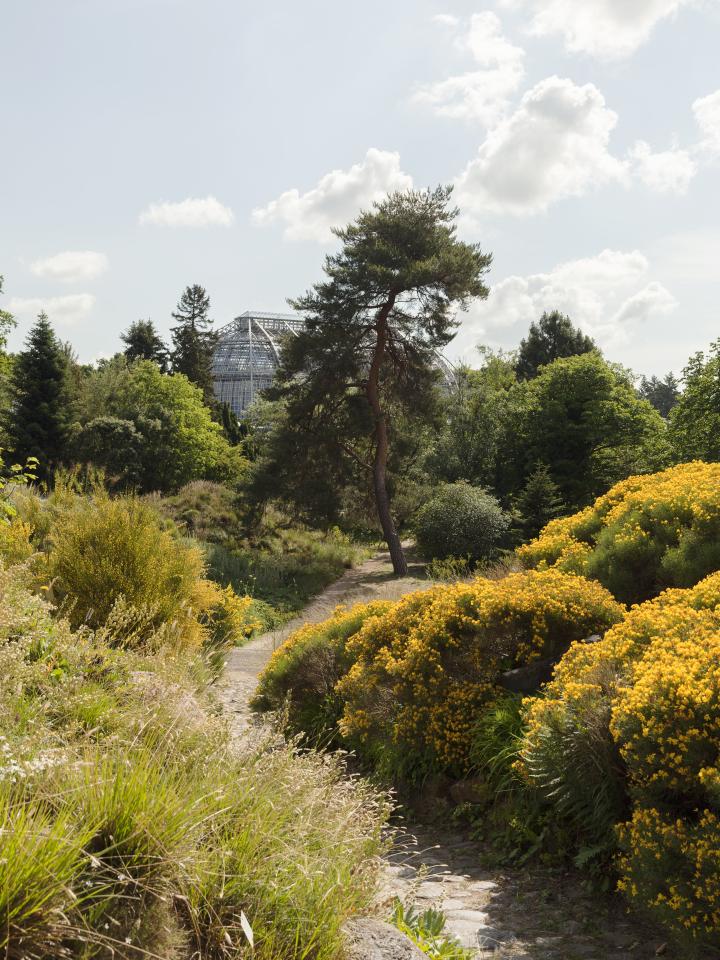 Hortus aan huis: net als de hortus botanicus in Berlijn Mooiwatplantendoen.nl