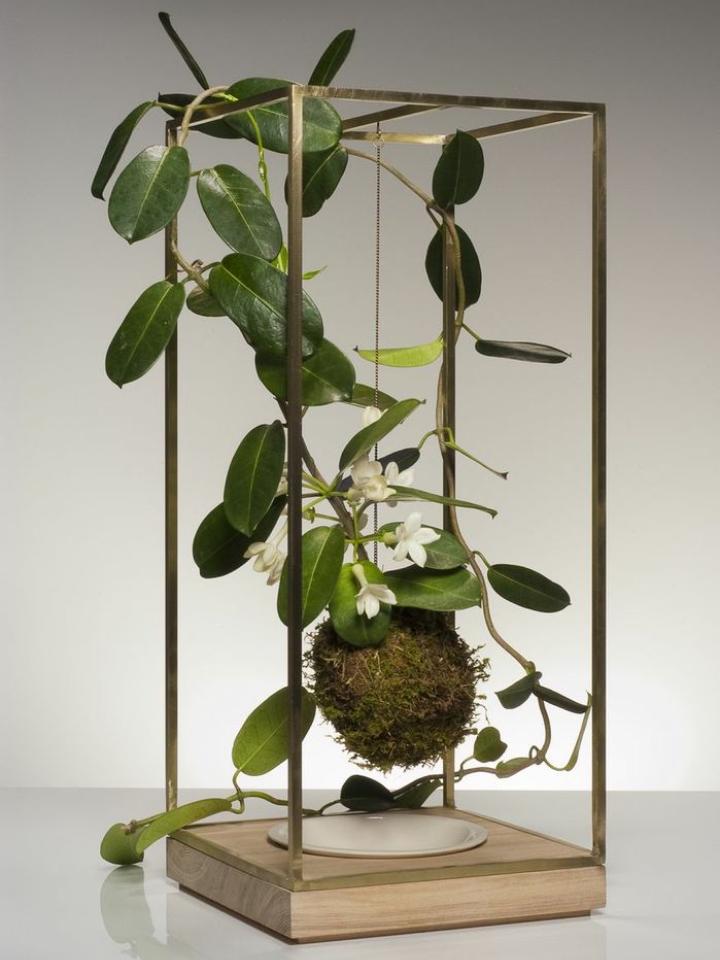 www.maplantemonbonheur.fr kokedama USA