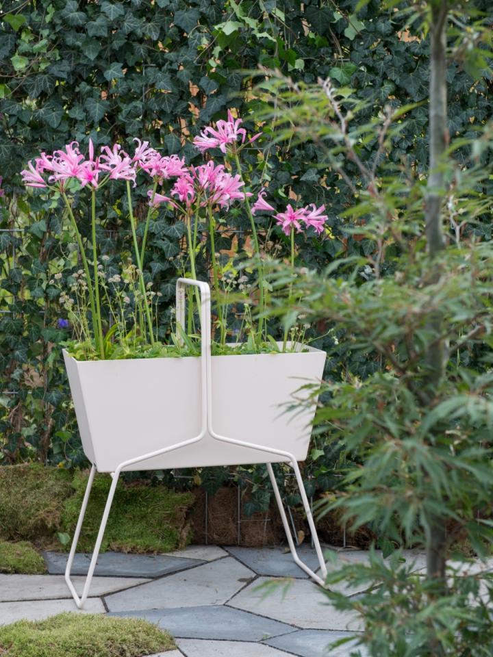 Gartentrend 2017: Der elegante Balance-Garten