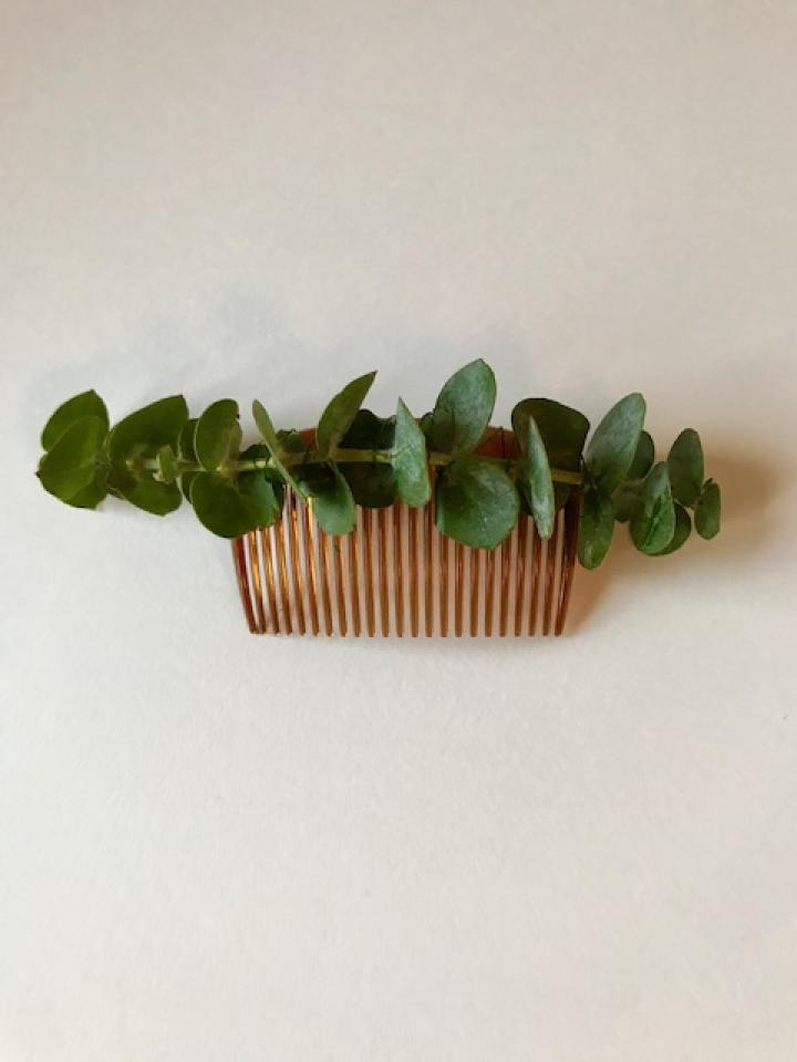 Homemade beauty barrette eucalyptus maplantemonbonheur.fr