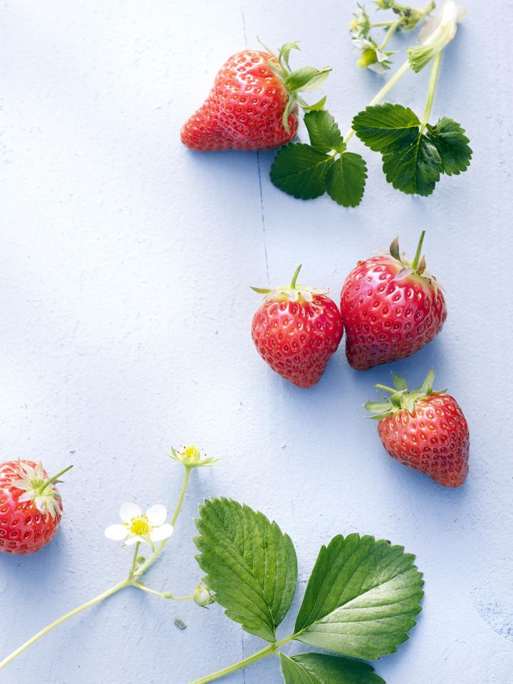 Confiture de fraises, sans sucre et fait maison - Maplantemonbonheur.fr