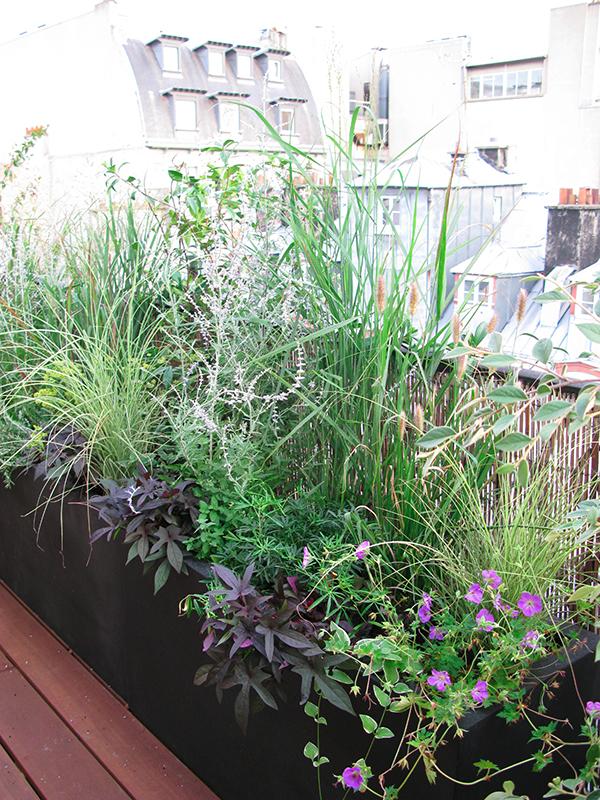 Maplantemonbonheur.fr LES JARDINS DE KALI Maplantemonbonheur.fr plante jardin paris terrarium Kali Vermes terrasse