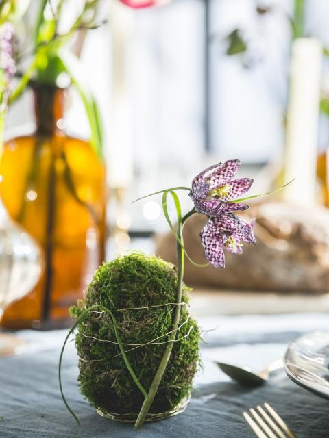 DIY: moseieren voor de paastafel Mooiwatplantendoen.nl DIY: moseieren voor de paastafel Mooiwatplantendoen.nl