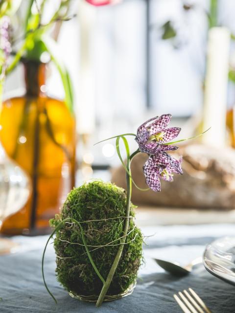 DIY: moseieren voor de paastafel Mooiwatplantendoen.nl