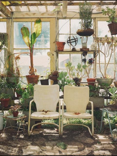 Faut-il délaisser ses plantes d’extérieur, les entretenir ou les rentrer ?  - Maplantemonbonheur.fr