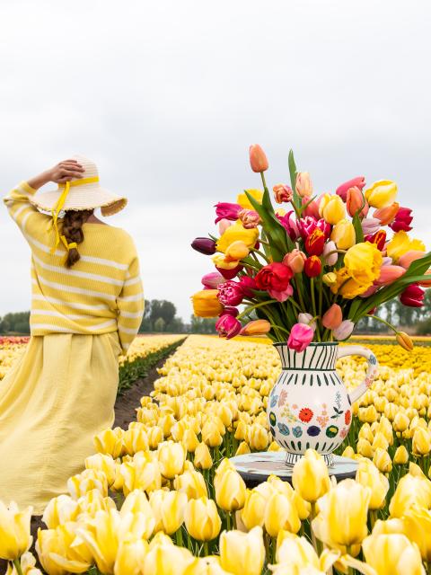 champ de tulipes