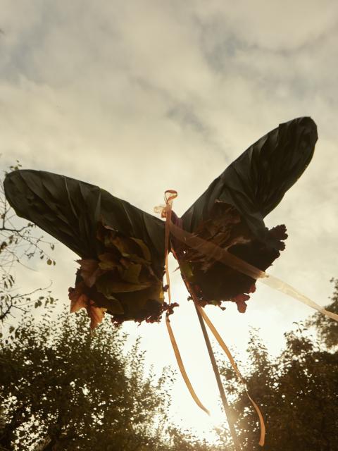 diervriendelijke tuin | herfsttuin dieren | biodiversiteit in tuin