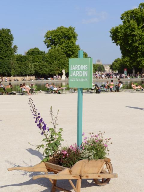 maplantemonbonheur.fr  Paris jardin jaridn tuilerie 