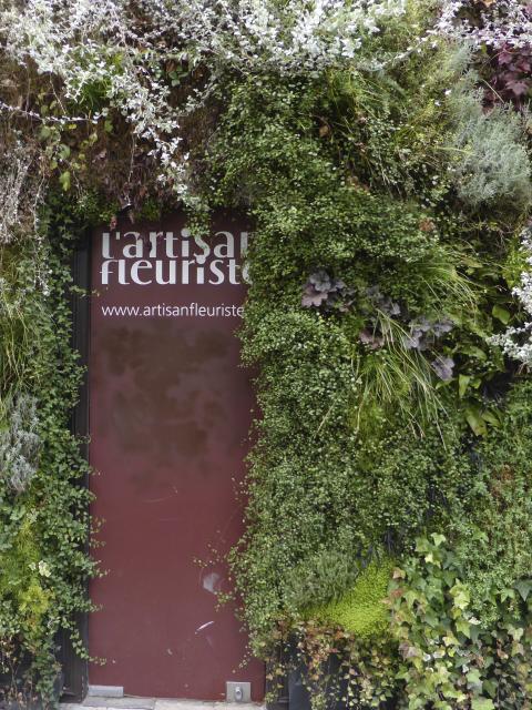 Mur Végétal L’Artisan Fleuriste