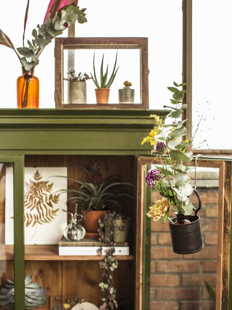 DIY: fabriquez une vitrine vivante - Maplantemonbonheur.fr