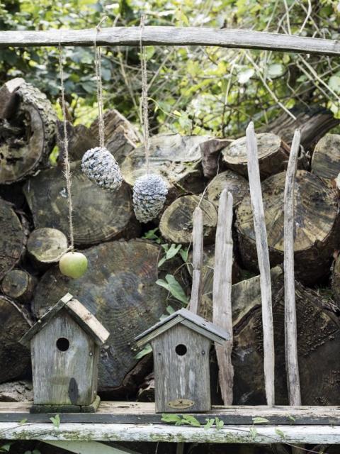 Une ménagerie dans mon jardin Maplantemonbonheur.fr