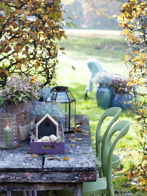 Tendance automne 2016 : Un jardin d&#039;automne plein de secrets - Maplantemonbonheur.fr