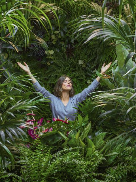 Le Shinrin-yoku : le bain de forêt _Maplantemonbonheur.fr