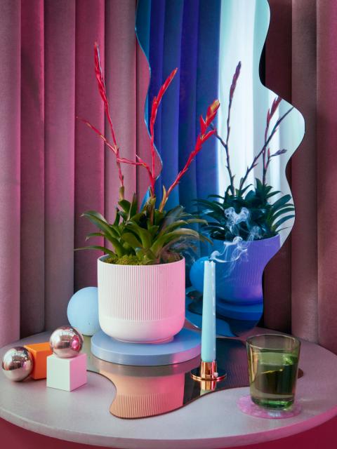 Créez votre autel d’évasion à la maison _Maplantemonbonheur.fr