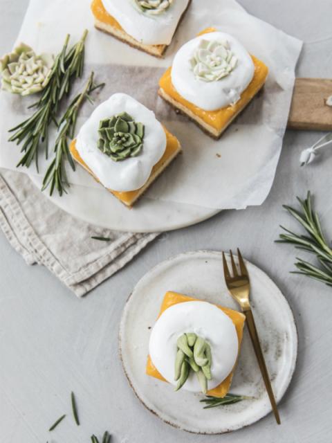 Succulent cheesecakes and cloud-covered lemon cake Thejoyofplants.co.uk