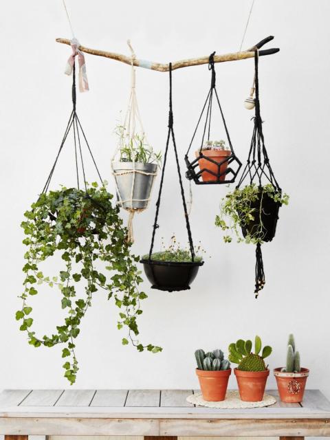 Plantes Suspension DIY Déco maplantemonbonheur.fr