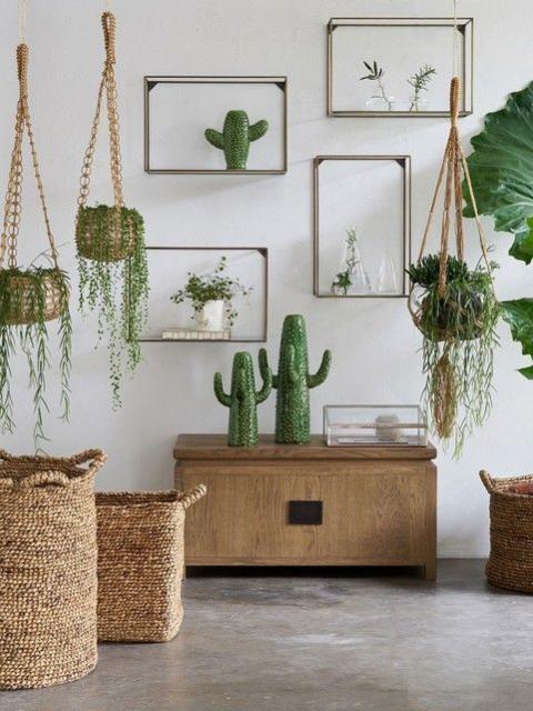 plante panier recup maplantemonbonheur.fr 