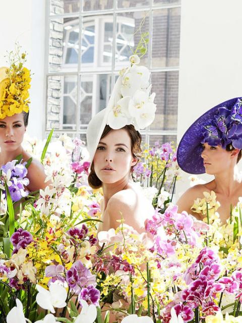 Orchid Hat Philip Treacy