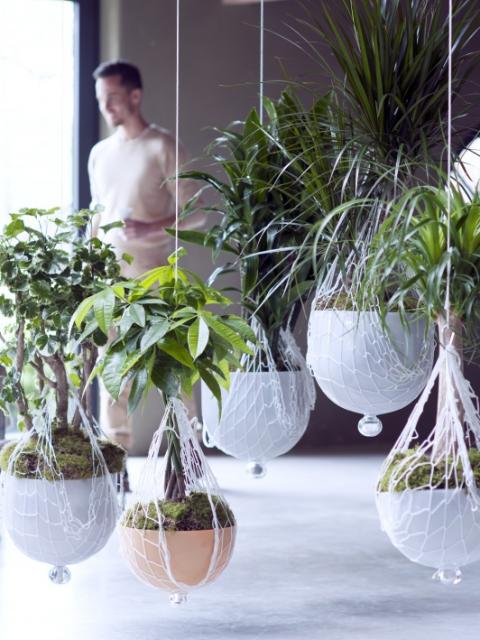 maplantemonbonheur.fr green home decor vert