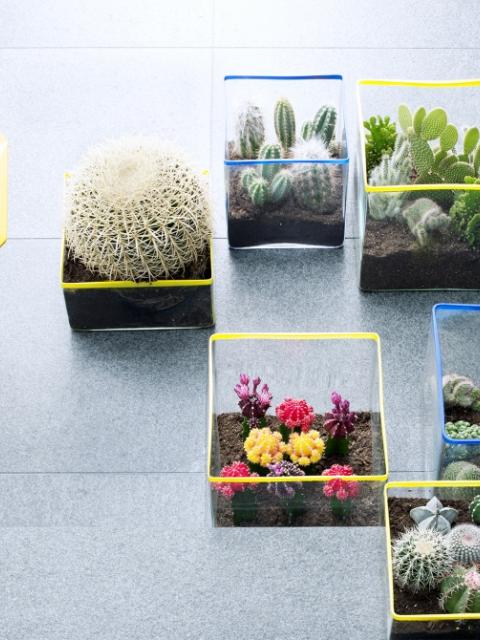plantezledecor homedecor coaching maplantemonbonheur.fr 