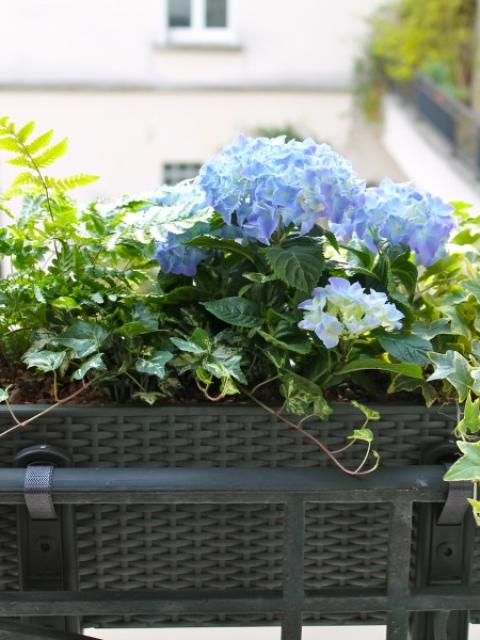 maplantemonbonheur.fr  jardiniere fleur en ville DIY