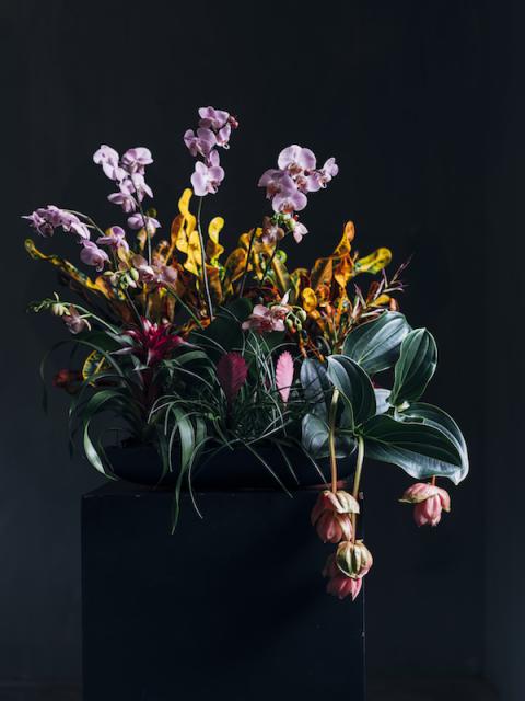 Noël bouquet de plantes _Maplantemonbonheur.fr