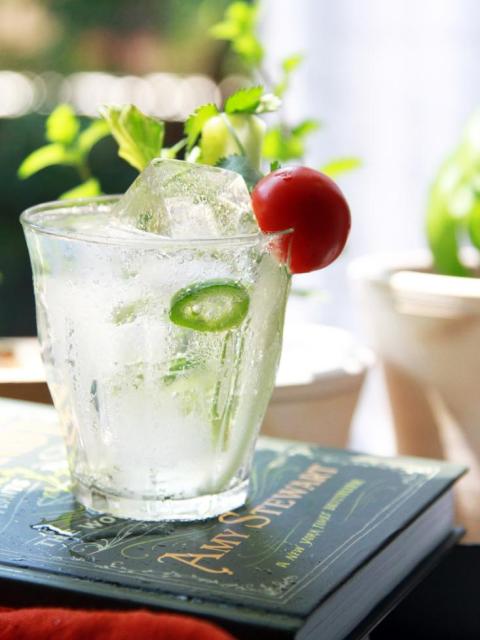 Maplantemonbonheur.fr plante cocktails culture jardin recette