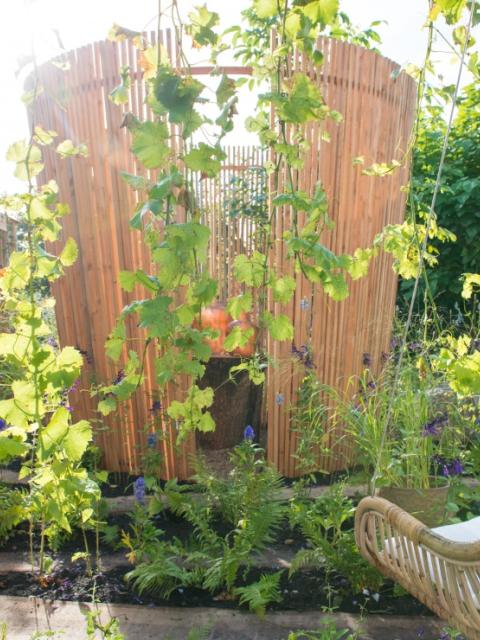 Tendance jardin 2017 : Le jardin cloître moderne Maplantemonbonheur.fr