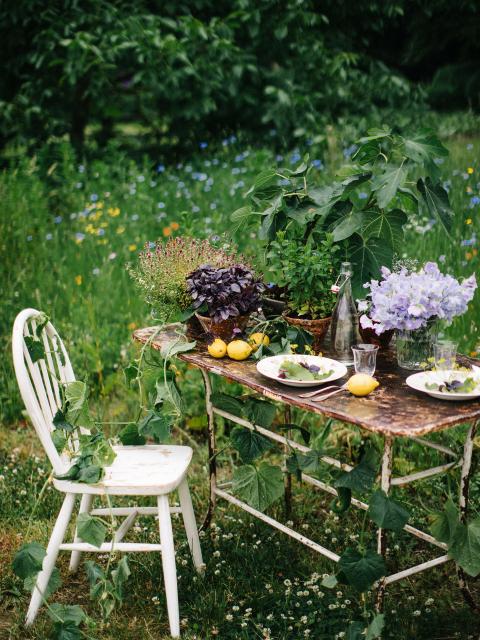 L'été passe à table _Maplantemonbonheur.fr