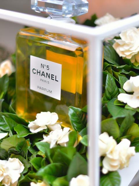 Chanel parfum Boymeets Fashion Maplantemonbonheur.fr