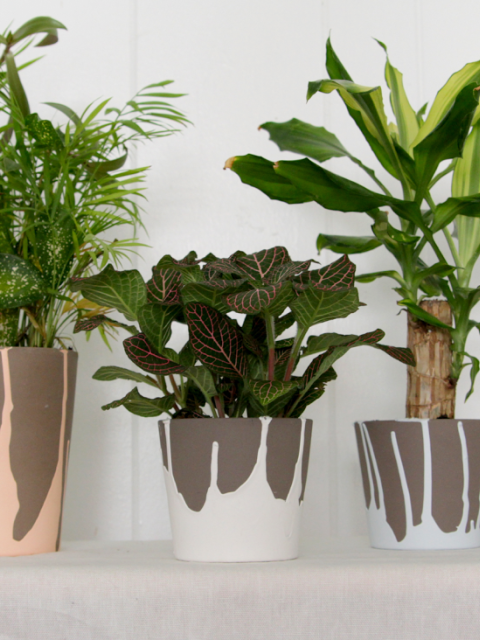 maplantemonbonheur.fr diy peinture pot decoration fait maison