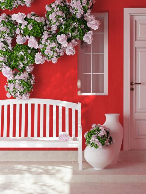 maplantemonbonheur.fr plante amour rose jasmin